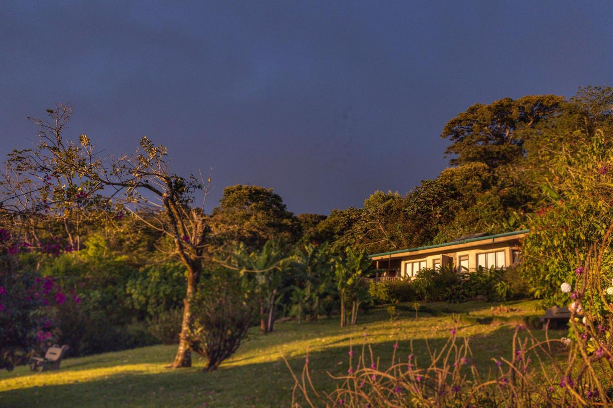 Senda Monteverde Hotel Member Of The Cayuga Collection Exterior foto