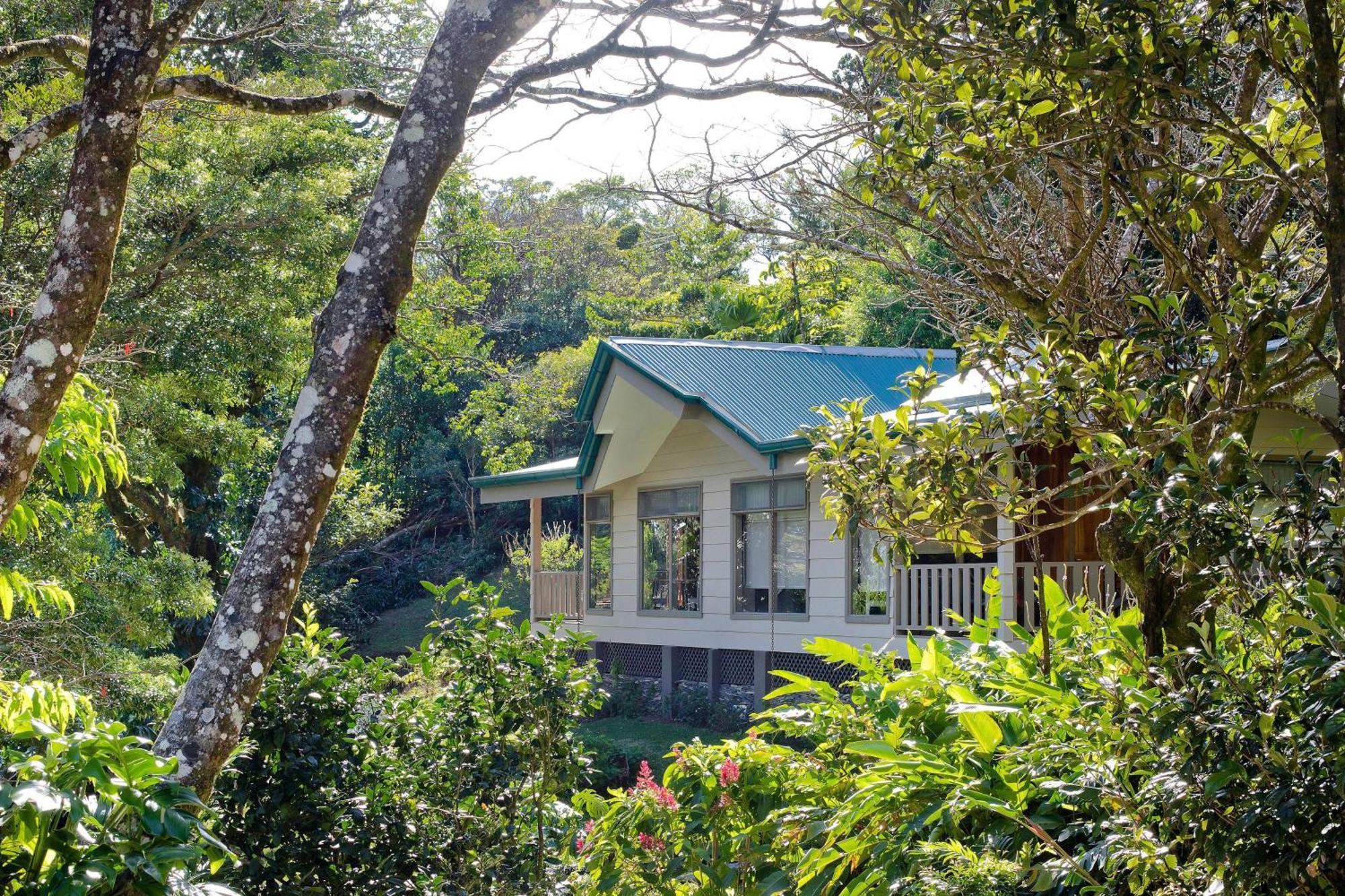 Senda Monteverde Hotel Member Of The Cayuga Collection Exterior foto