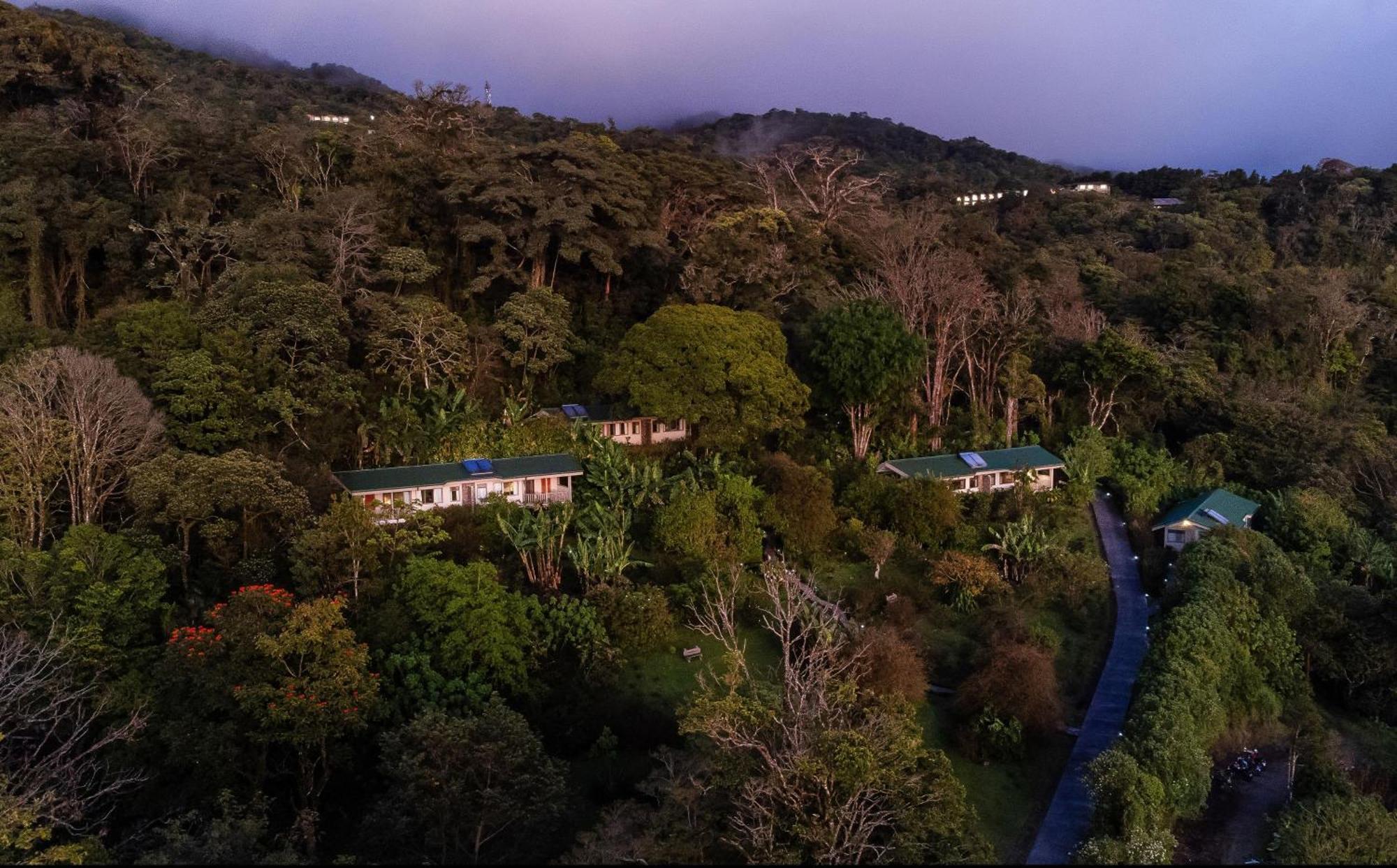 Senda Monteverde Hotel Member Of The Cayuga Collection Exterior foto